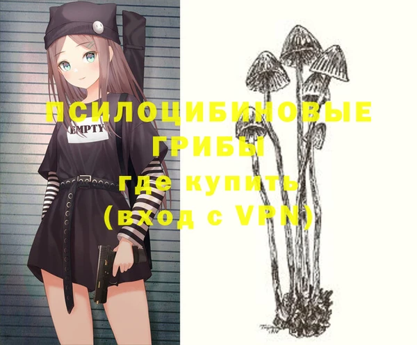 эйфоретик Новодвинск