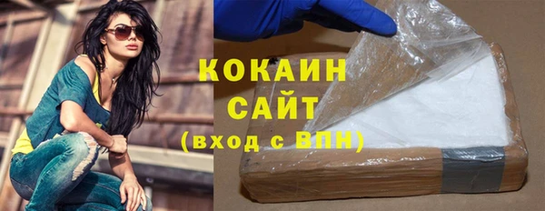 PSILOCYBIN Новозыбков
