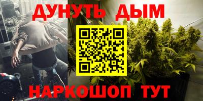 прущие крисы Камышлов