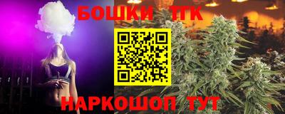 прущие крисы Камышлов