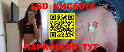 прущие крисы Камышлов