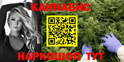 прущие крисы Камышлов