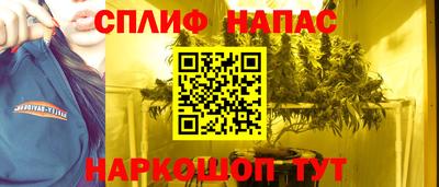 прущие крисы Камышлов