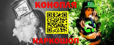 прущие крисы Камышлов