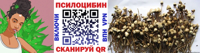 Псилоцибиновые грибы Cubensis Россошь