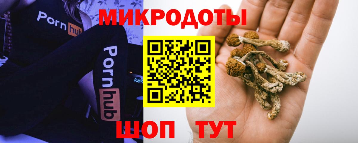 Псилоцибиновые грибы Psilocybe Россошь
